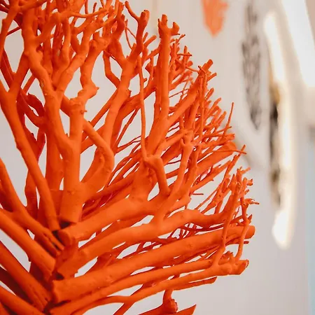 Q Coconuts Seaside * Limassol