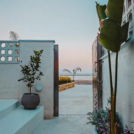 Q Coconuts Seaside * Limassol