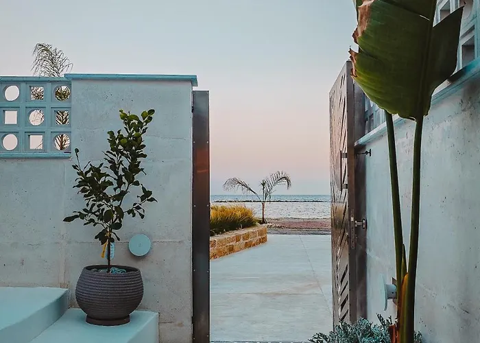 Q Coconuts Seaside * לימסול